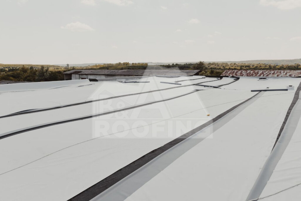 TPO Roofs