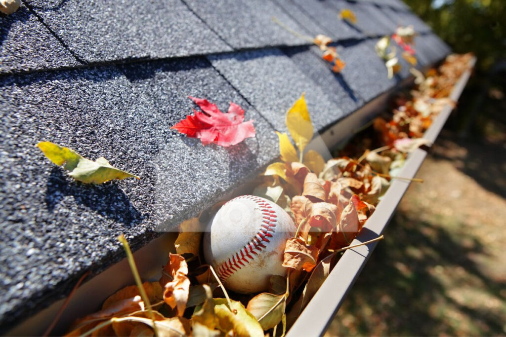 Clogged Gutter