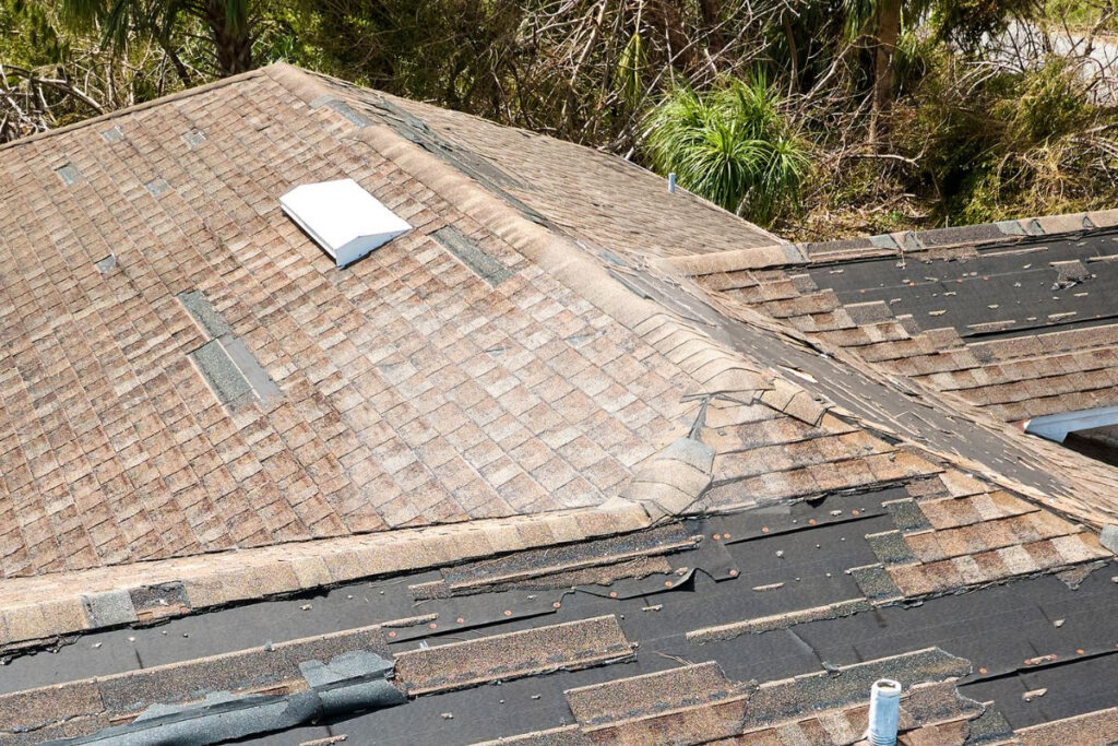Shingle Damage