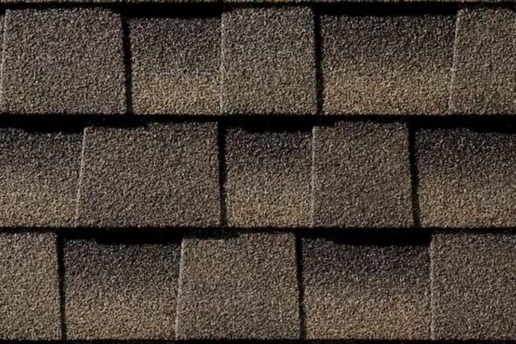 Barkwood Roof Color