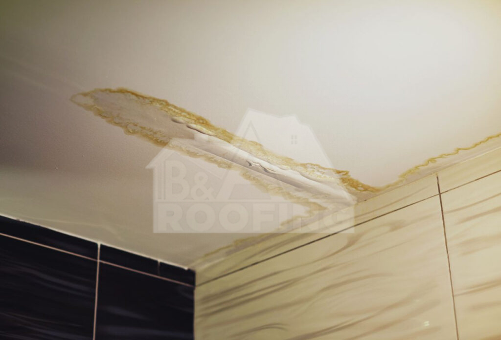 Roof Leaks