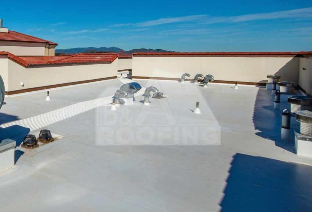 TPO Roof