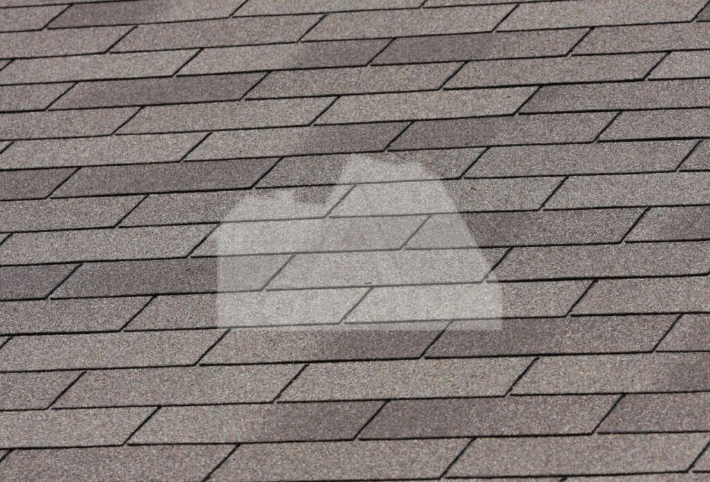 3 Tab Shingle