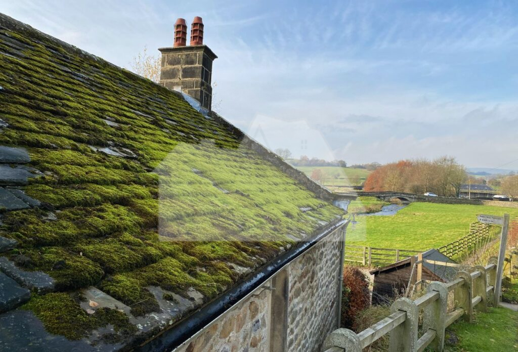 mold or algae growth on roof