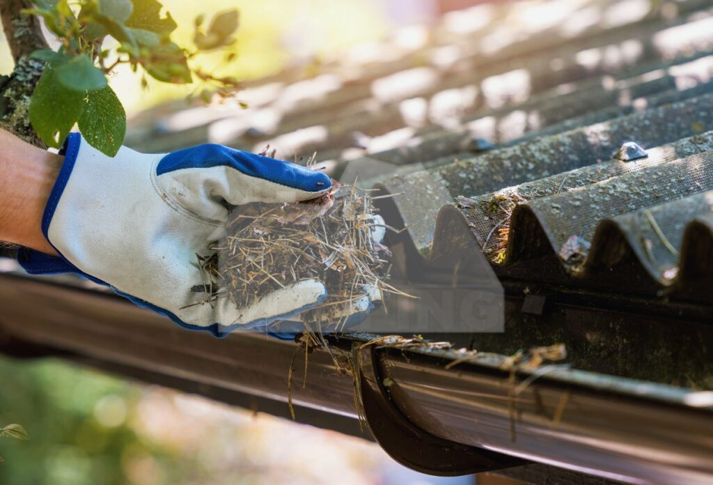 Inspect Gutters and Downspouts