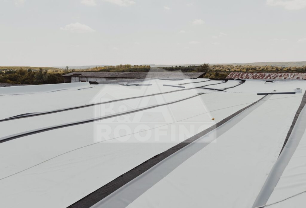 TPO Roof 