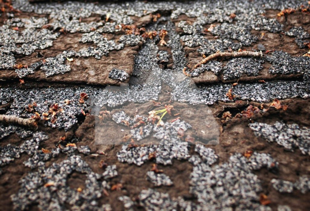 Structural Damage