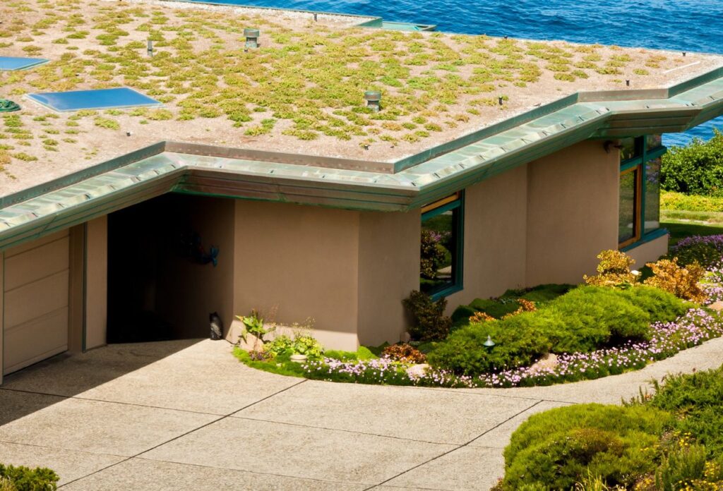 Green Roofing System